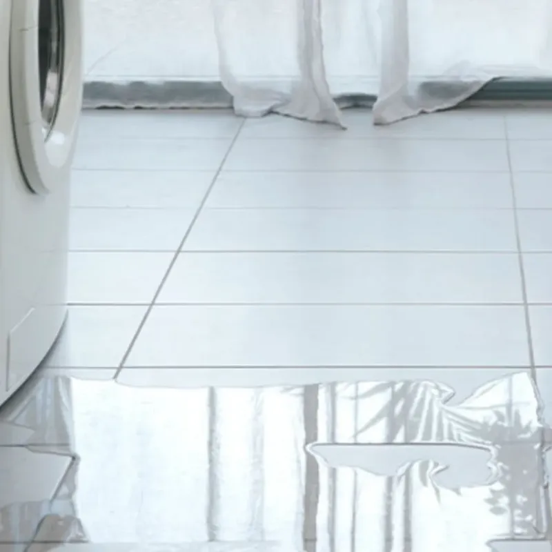 Appliance Leak Cleanup in Polk City, IA