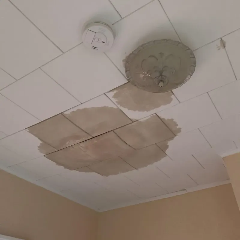 Ceiling Water Damage Repair in Polk City, IA