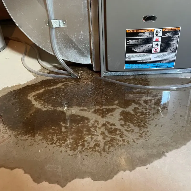 Pipe Burst and Leak Restoration in Polk City, IA