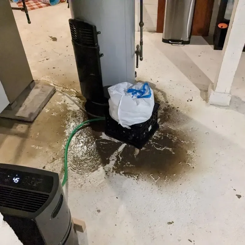 Sewage Backup Cleanup Service in Polk City, IA